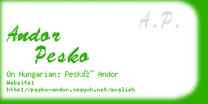 andor pesko business card